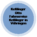 Ellipse: Kelinger Otto Fahrservice Kelinger in Vhringen

